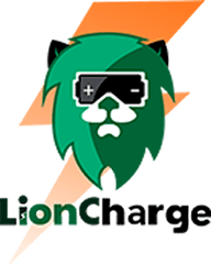 Lion Charge